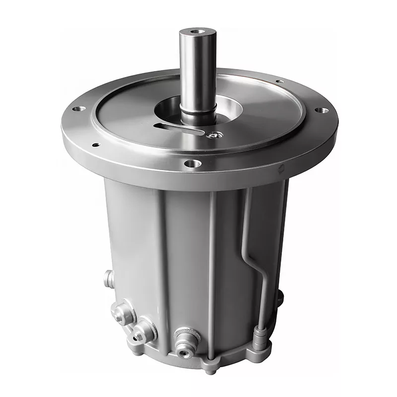 Screw Vacuum Pump Motor